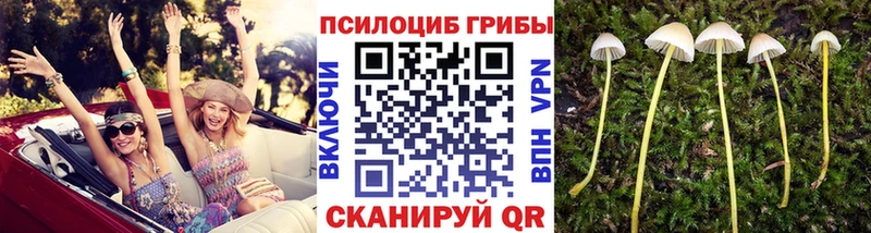 Псилоцибиновые грибы ЛСД  Руза 